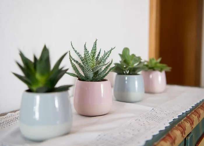 Rosanna 3* سانكت أنتون ام ارلبرغ