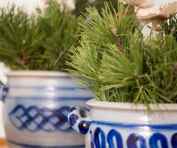 Rosanna فندق مبيت وإفطار سانكت أنتون ام ارلبرغ